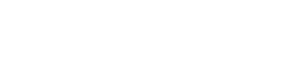logo virtuality